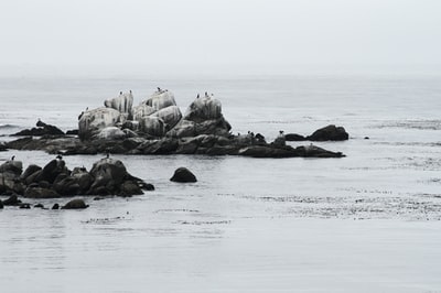 风景摄影的海滨岩石
